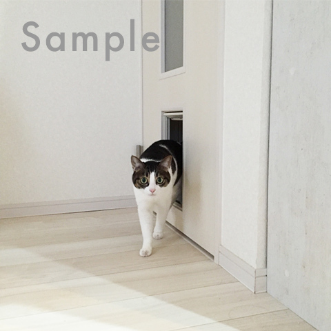事例Sample