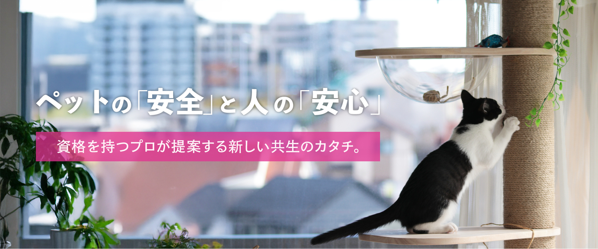 ペットリフォームならゼクトホーム